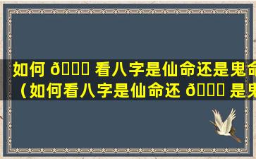 如何 🐎 看八字是仙命还是鬼命（如何看八字是仙命还 🐈 是鬼命女）